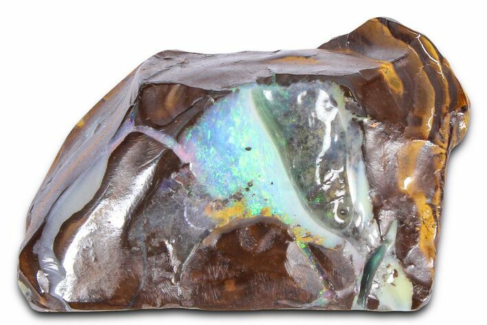 Colorful Polished Boulder Opal Specimen - Queensland, Australia #381652